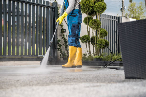 Best Local Pressure Washing Services  in Vine Hill, CA